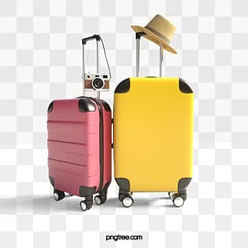 Bags & Cases